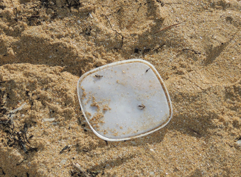 Guía de boas prácticas